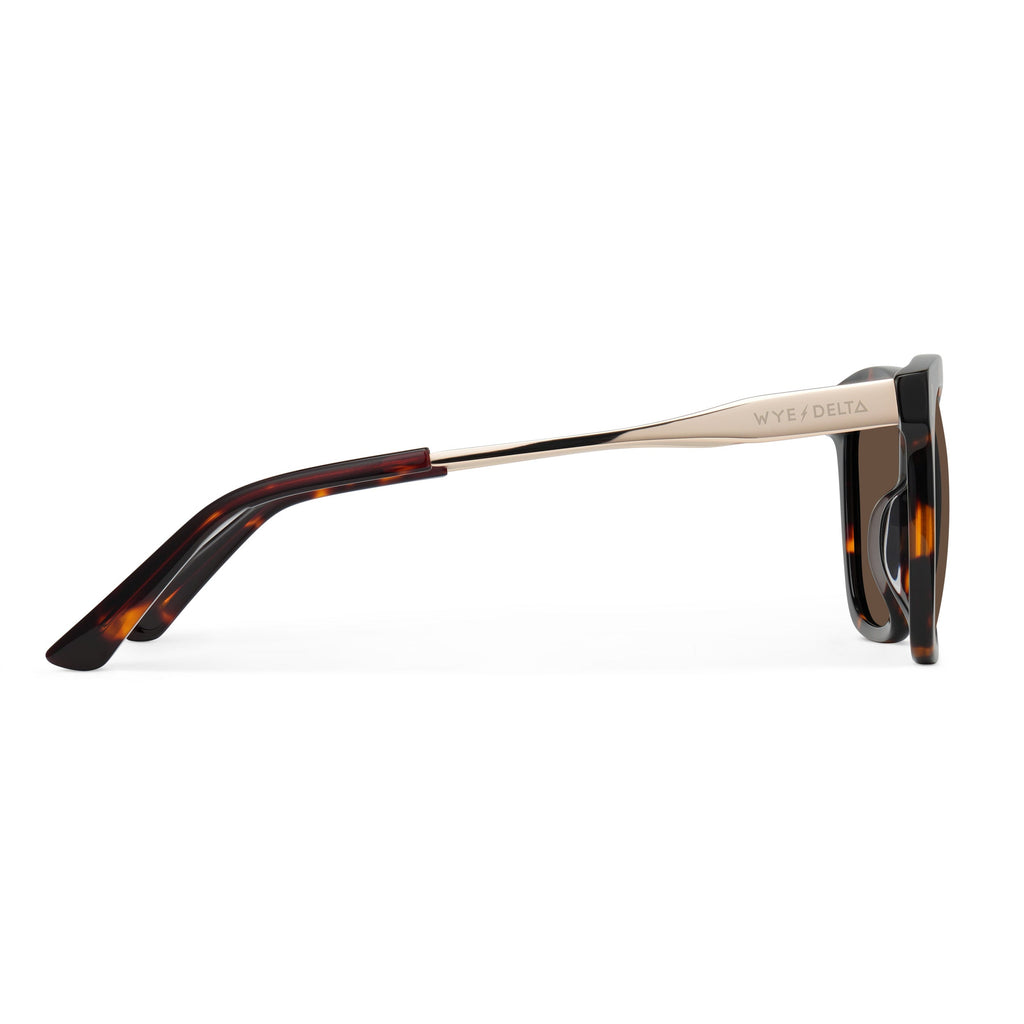 Elara Tortoise